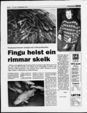 Síða 8