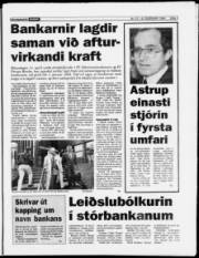 Síða 3