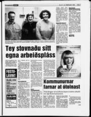 Síða 7