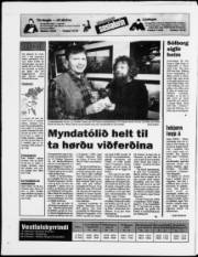 Síða 20