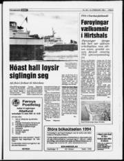 Síða 5