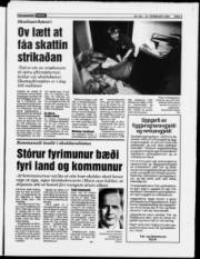 Síða 3