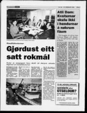 Síða 5