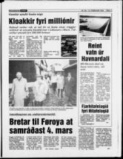 Síða 11