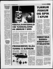 Síða 12