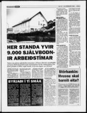 Síða 3
