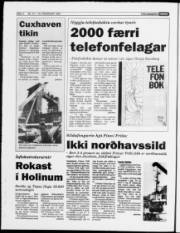 Síða 4