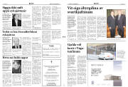 Síða 2