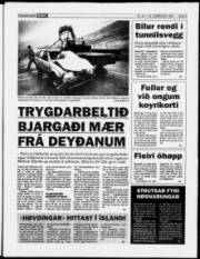 Síða 5