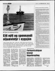 Síða 11