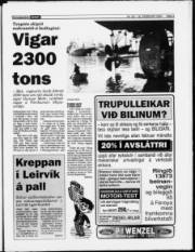 Síða 3