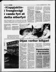 Síða 5