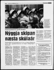 Síða 6