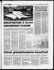 Síða 15