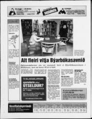 Síða 20