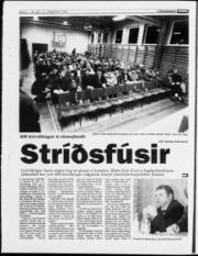 Síða 6