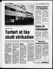 Síða 3