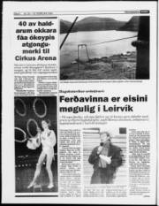 Síða 6
