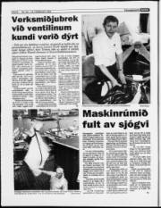 Síða 8