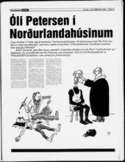 Síða 11