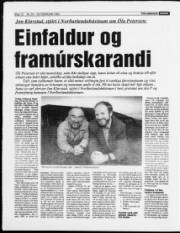 Síða 12