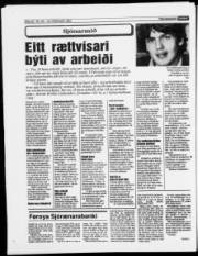 Síða 20