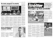 Síða 6