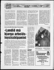 Síða 2