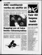 Síða 3