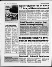 Síða 8
