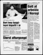 Síða 9