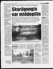 Síða 14