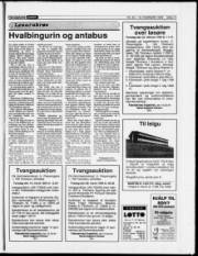Síða 17