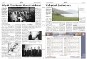 Síða 12