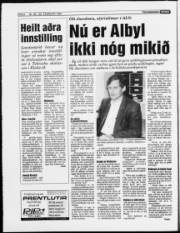 Síða 6