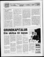 Síða 2