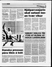 Síða 13