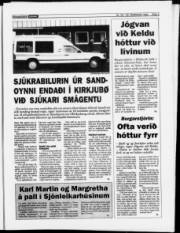 Síða 3