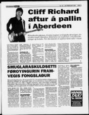 Síða 3