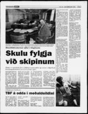 Síða 7