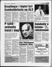 Síða 8