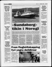 Síða 9