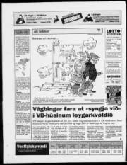 Síða 20