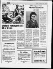 Síða 13