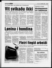Síða 3