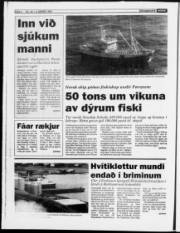 Síða 4