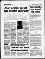 Síða 5