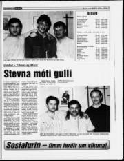 Síða 17