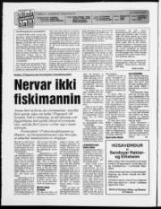 Síða 2