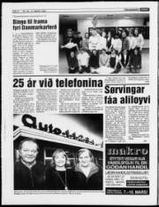 Síða 4